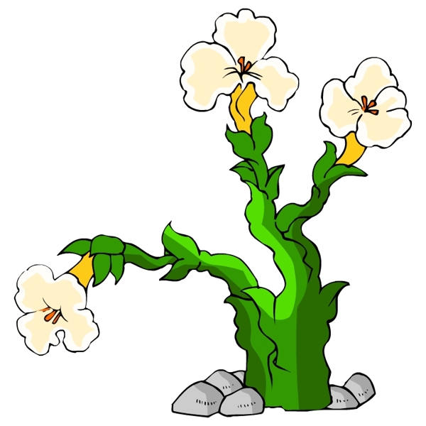 花卉古典插畫