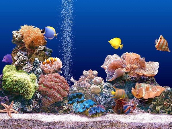 海底