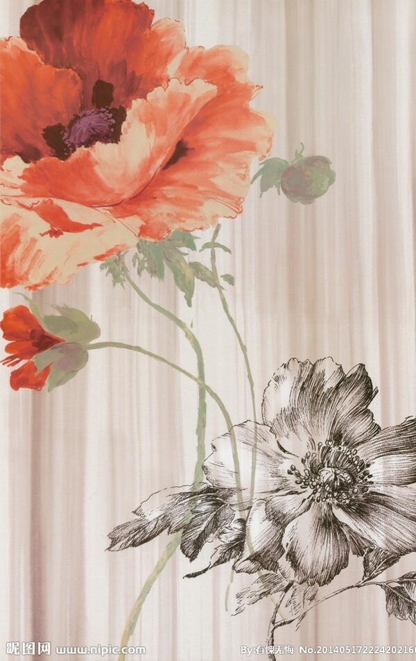 鮮花插畫圖片
