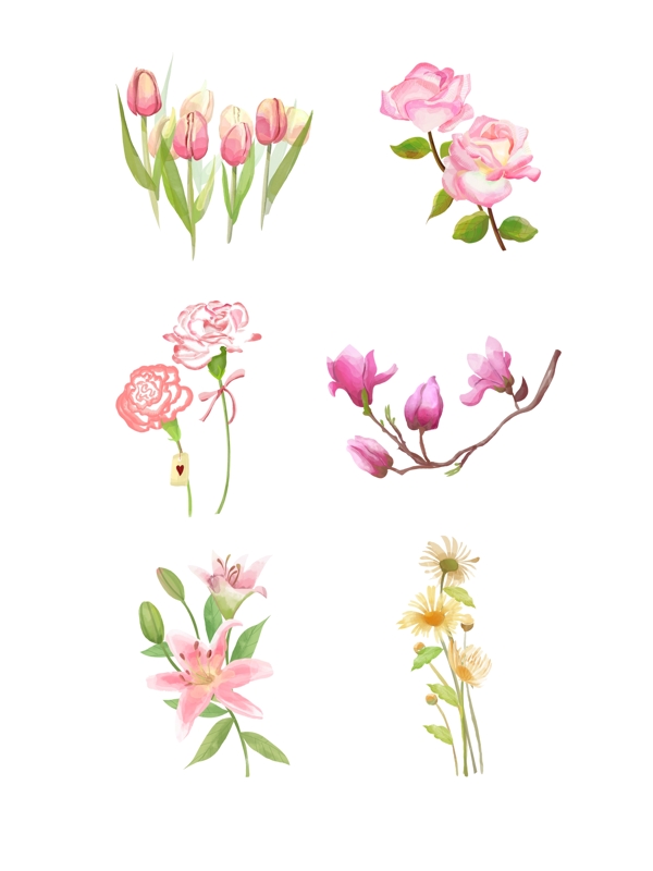 手绘水彩风清新植物花卉插画元素