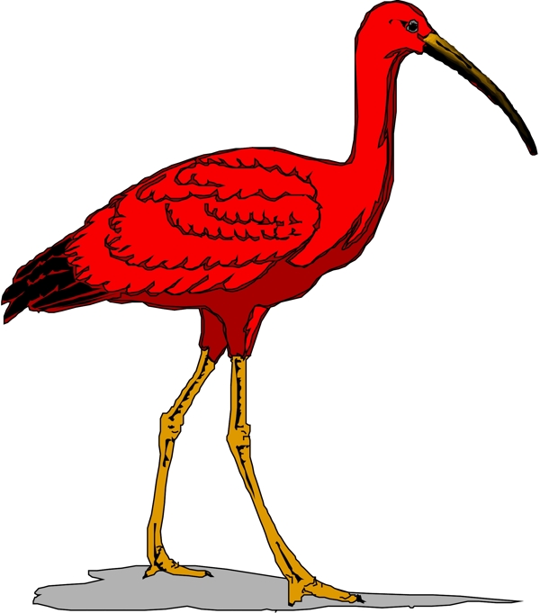 矢量逼真鳥類動物64