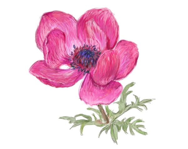 數(shù)碼印花圖案