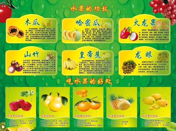 水果的功效和好處圖片