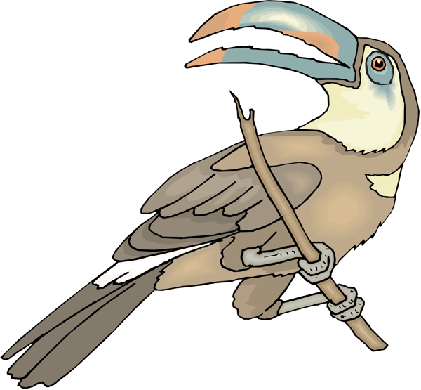 各種鳥(niǎo)類(lèi)鳥(niǎo)動(dòng)物矢量素材EPS格式1529