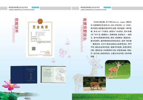 養(yǎng)鹿文化
