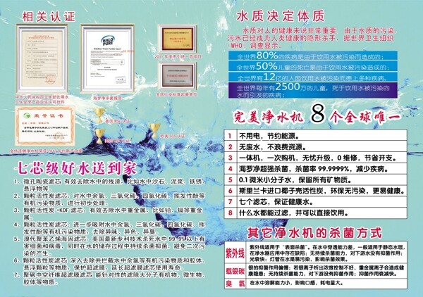 金偉連彩頁圖片