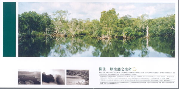 樓書設(shè)計(jì)版式設(shè)計(jì)064