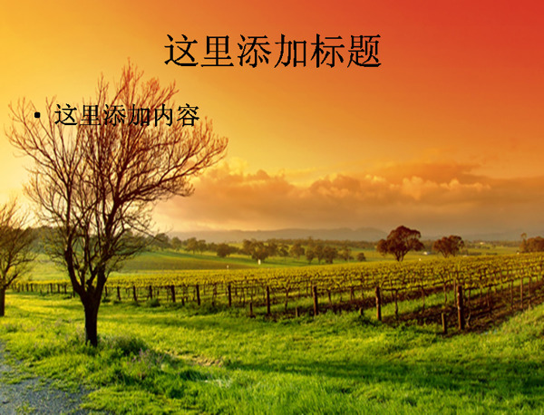果園夕陽