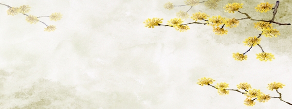 清爽黃色花朵背景