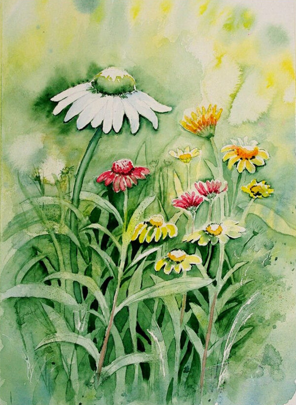 位圖植物寫意花卉花朵免費素材