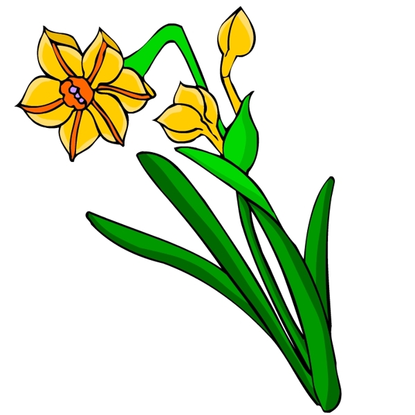 花卉古典插畫