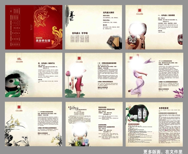 美容養(yǎng)生畫冊圖片