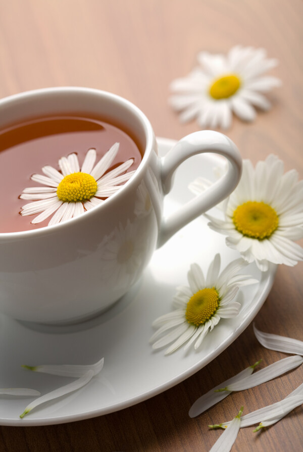 菊花茶