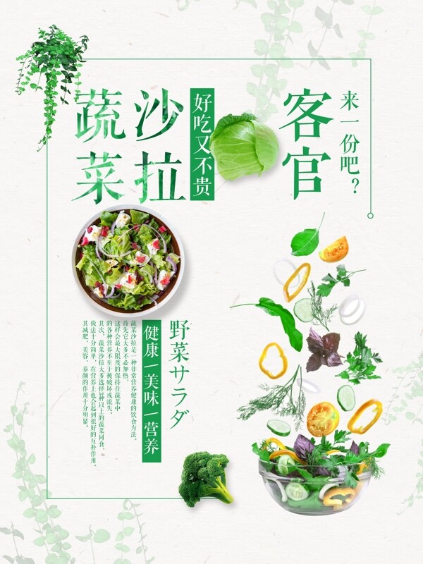蔬菜沙拉海報(bào)