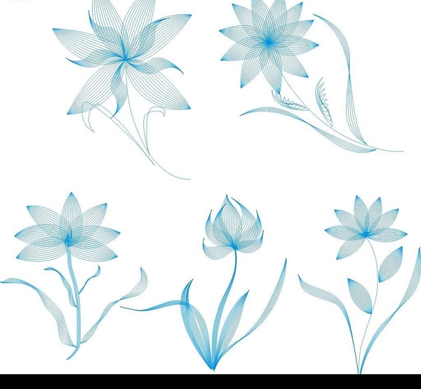史量線描花圖片