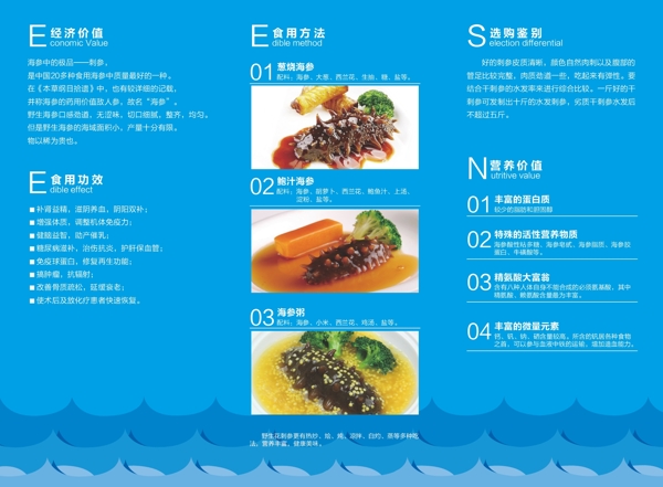 花刺野生海参产品广告宣传三折页