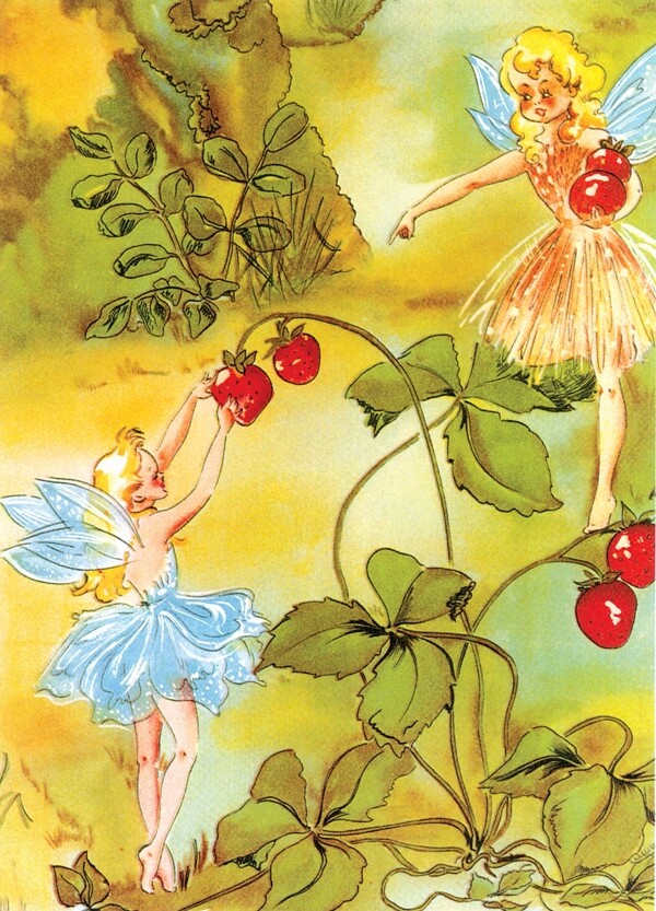 摘草莓的仙女图片