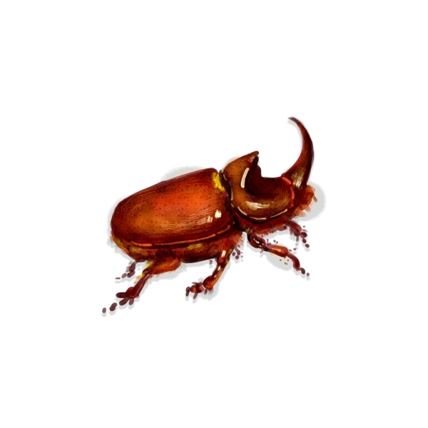 手绘中国风昆虫甲壳虫千牛飞行虫子动物素材