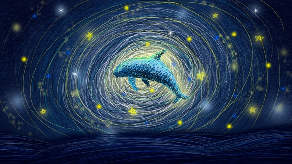 星空下的海豚线圈治愈系插画星星