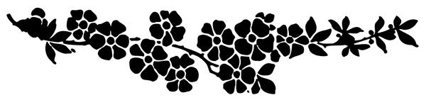 花邊素材