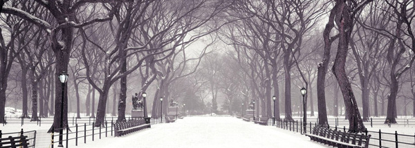 唯美雪景banner背景