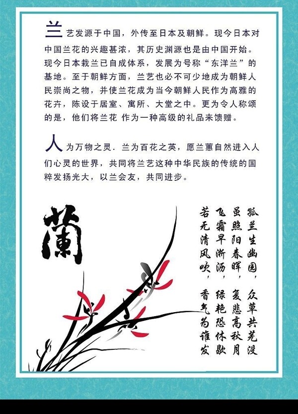 君子蘭圖片
