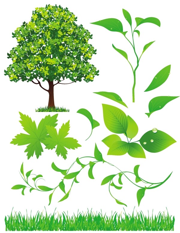 綠色植物