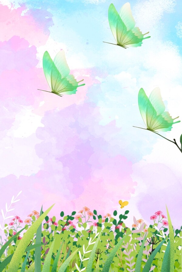花蝴蝶花卉背景图片