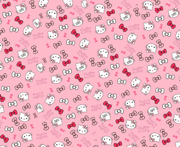 kitty貓