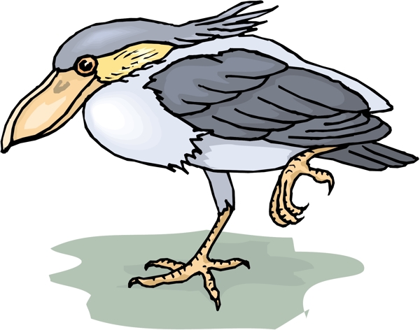 各種鳥(niǎo)類(lèi)鳥(niǎo)動(dòng)物矢量素材EPS格式1425