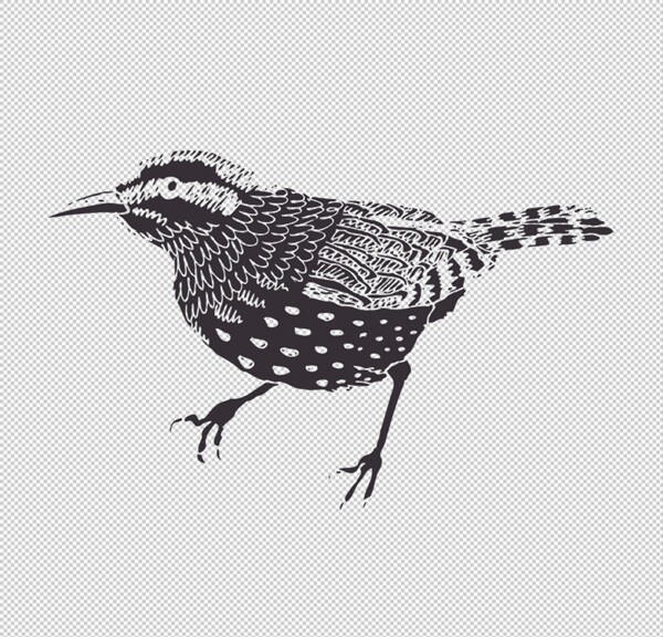 卡通鳥