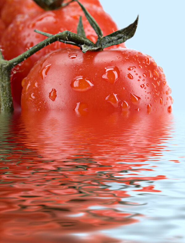 水中的番茄图片