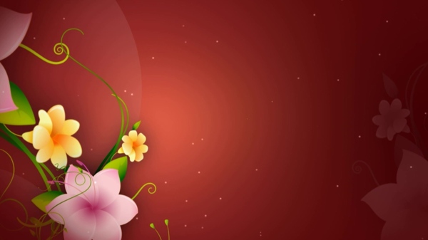 动态花纹花卉视频背景