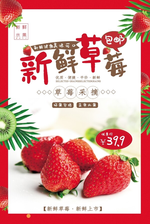 草莓采摘海报