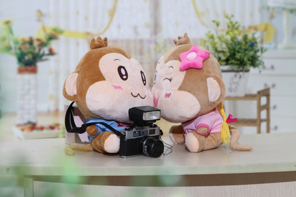 幸福一對小猴圖片