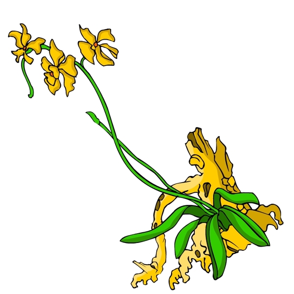 花卉古典插畫