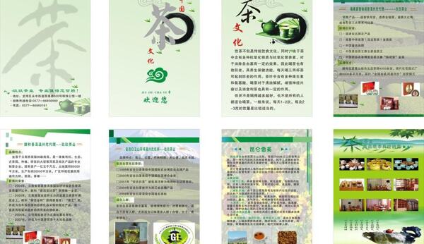 茶葉畫冊(cè)圖片
