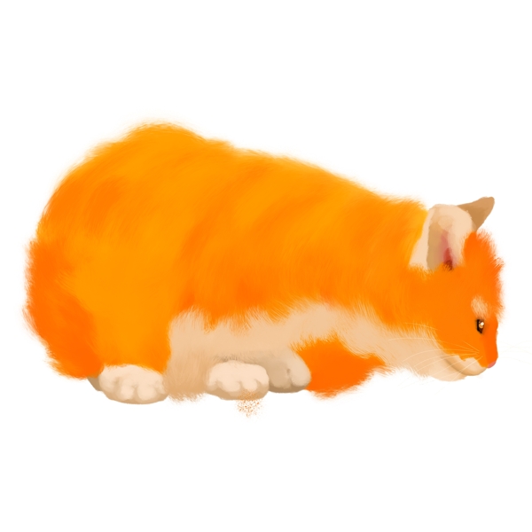 可爱的毛茸茸宠物橘猫手绘素材
