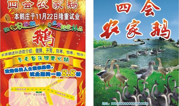 四會(huì)農(nóng)家鵝