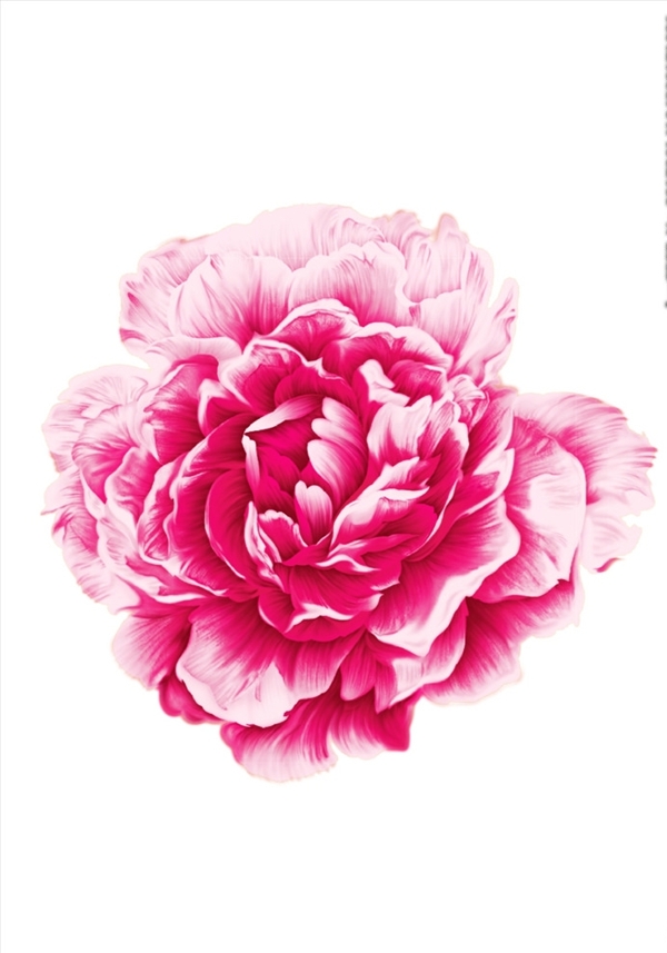 花朵花卉矢量圖下載