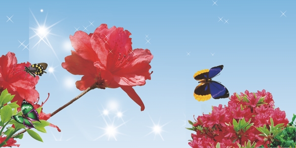 花