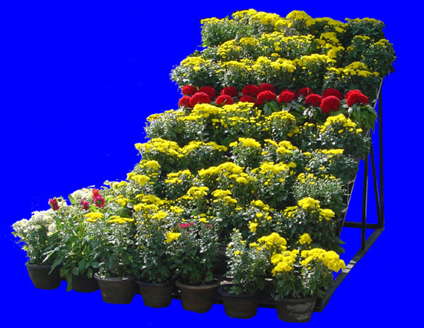 花壇025植物素材