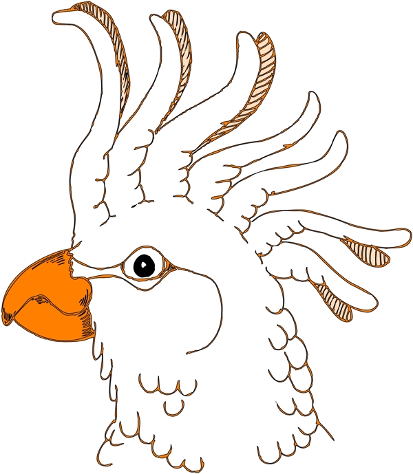 各種鳥類鳥動物矢量素材EPS格式0538