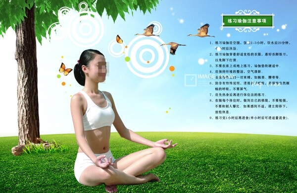 瑜伽圖片