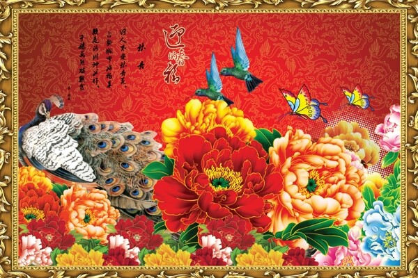 牡丹圖片