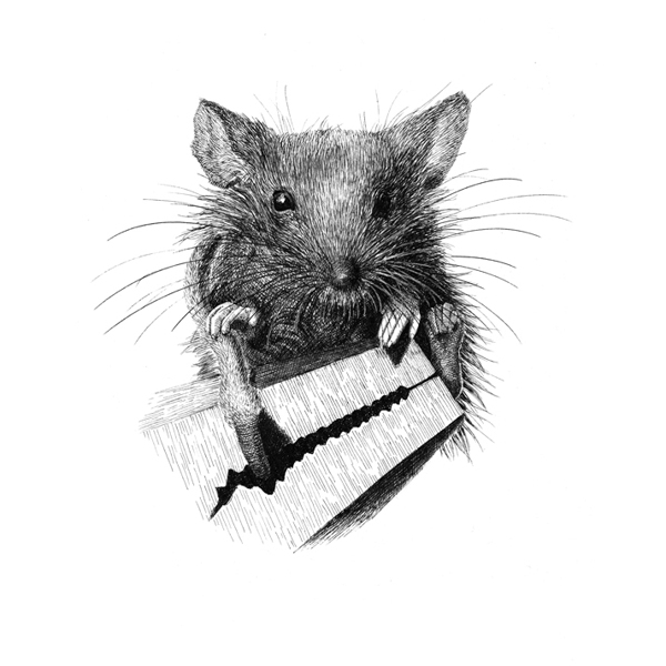 位图插画时尚插画动物插画艺术效果免费素材