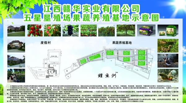 果蔬养殖基地图片