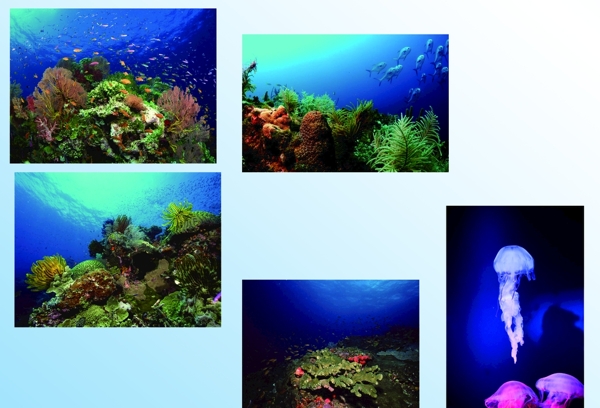 海底世界风景图片