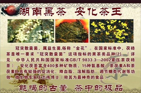 黑茶圖片