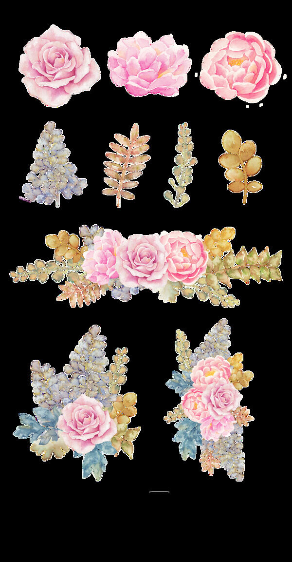 逼真花卉手绘画透明装饰素材